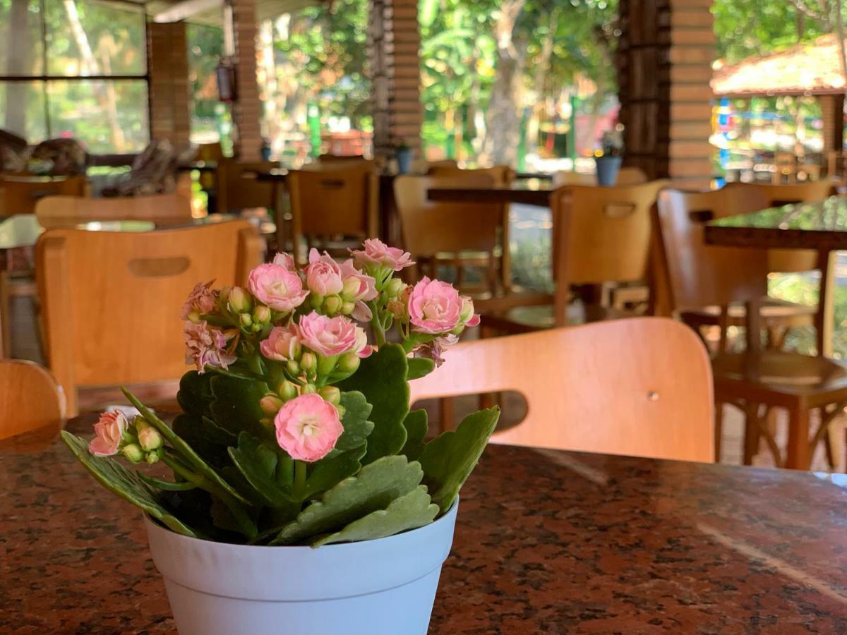 Hotel Sao Sebastiao Da Praia Florianópolis Zewnętrze zdjęcie
